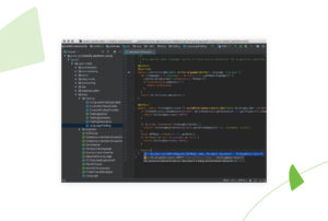best ide for python for mac