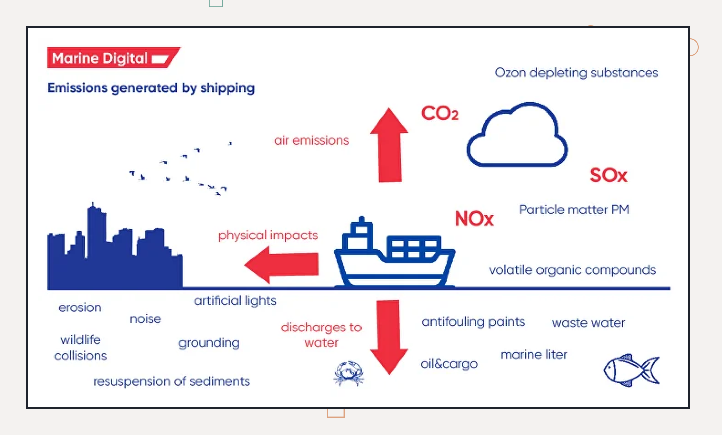 Maritime Digitalization in Action: Odin Marine’s Journey with Django Stars 5