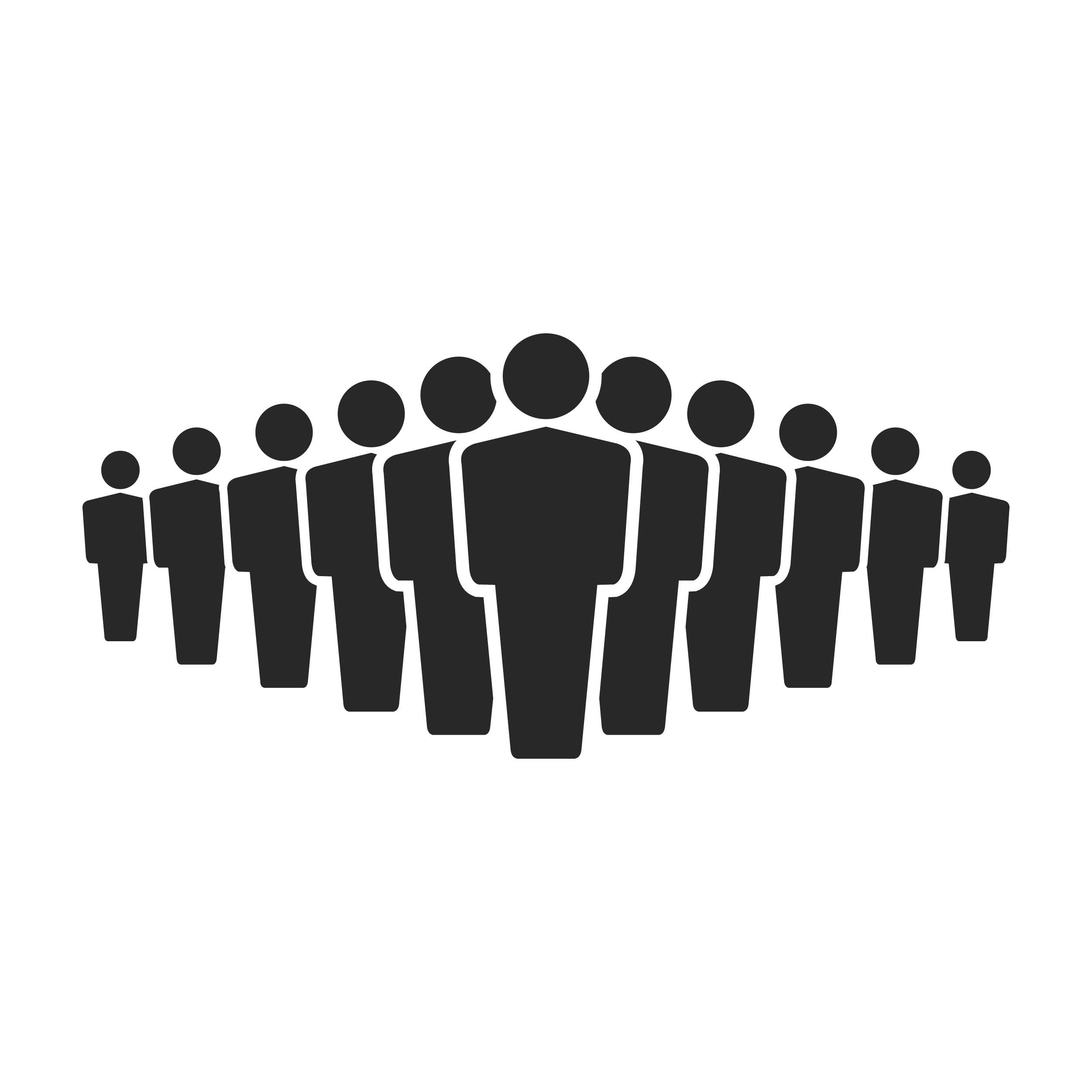 Development Team 