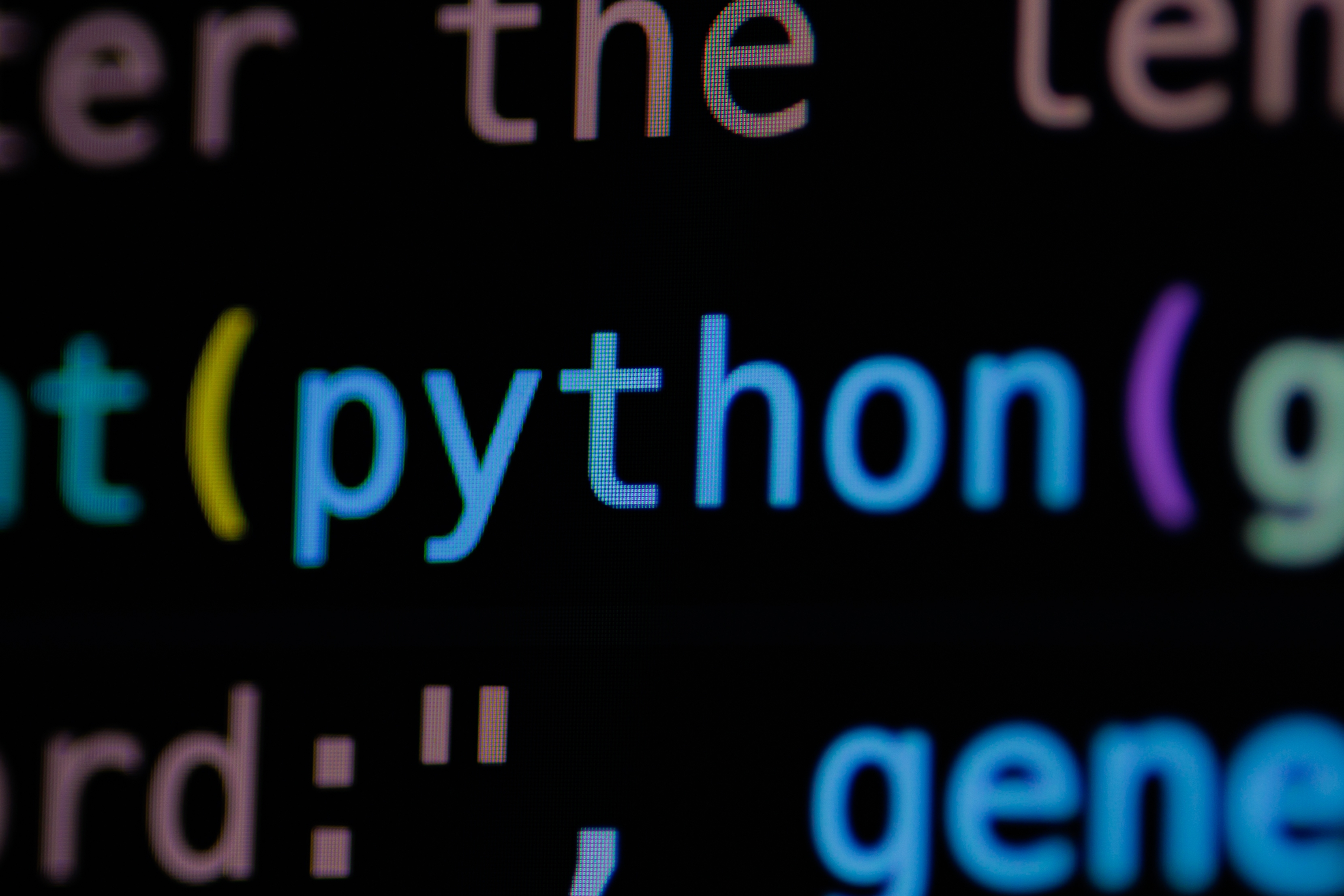 Top Python Development Companies