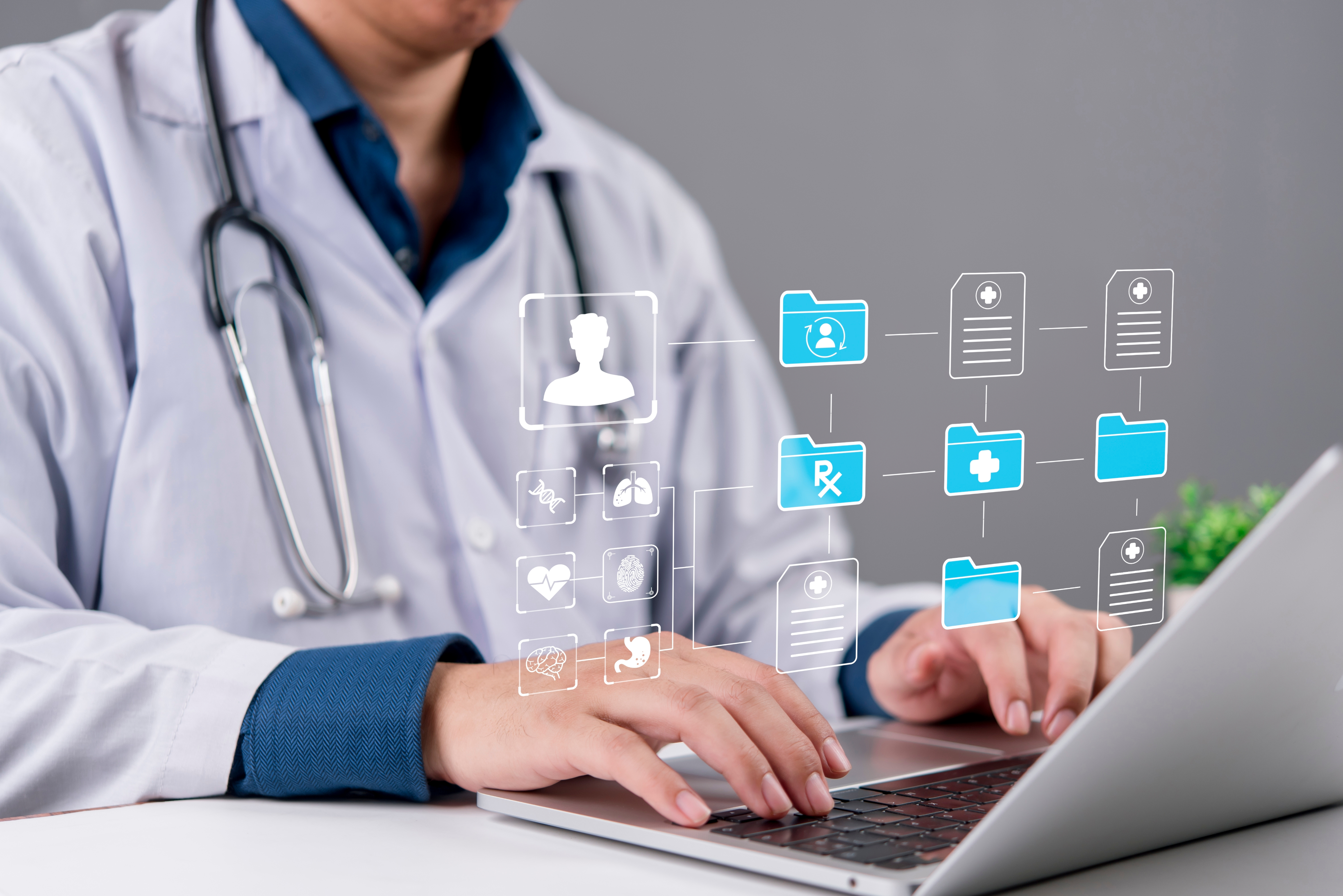 Patient Management Software Development Guide: Features, Process, Costs, and Best Practices