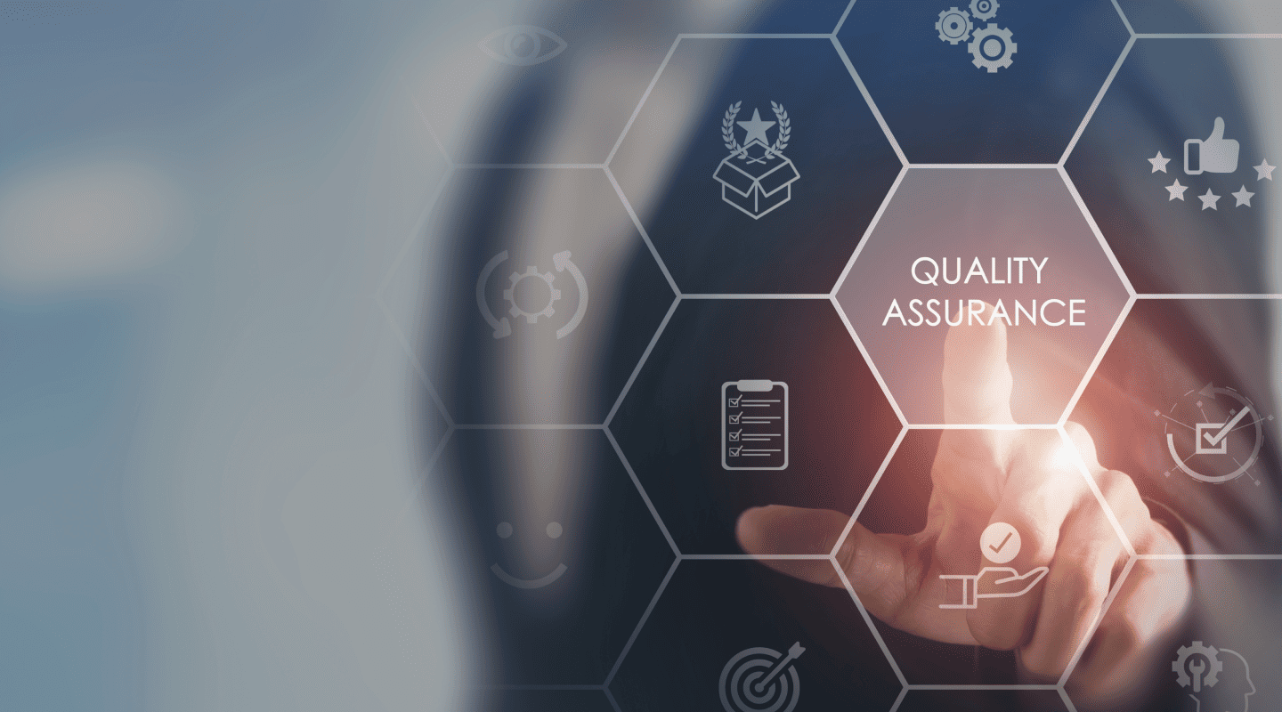 software consulting services